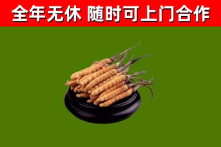 怀安烟酒回收冬虫夏草.jpg
